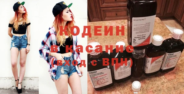 индика Абинск