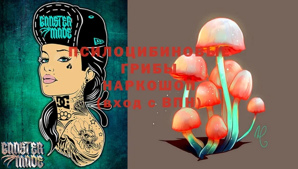 индика Абинск