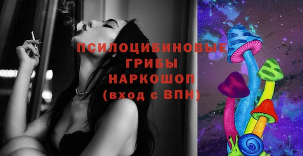 индика Абинск