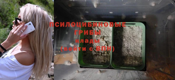 индика Абинск