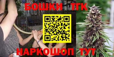 амф Дубна