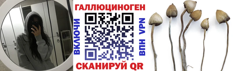 Галлюциногенные грибы ЛСД  Мурино 