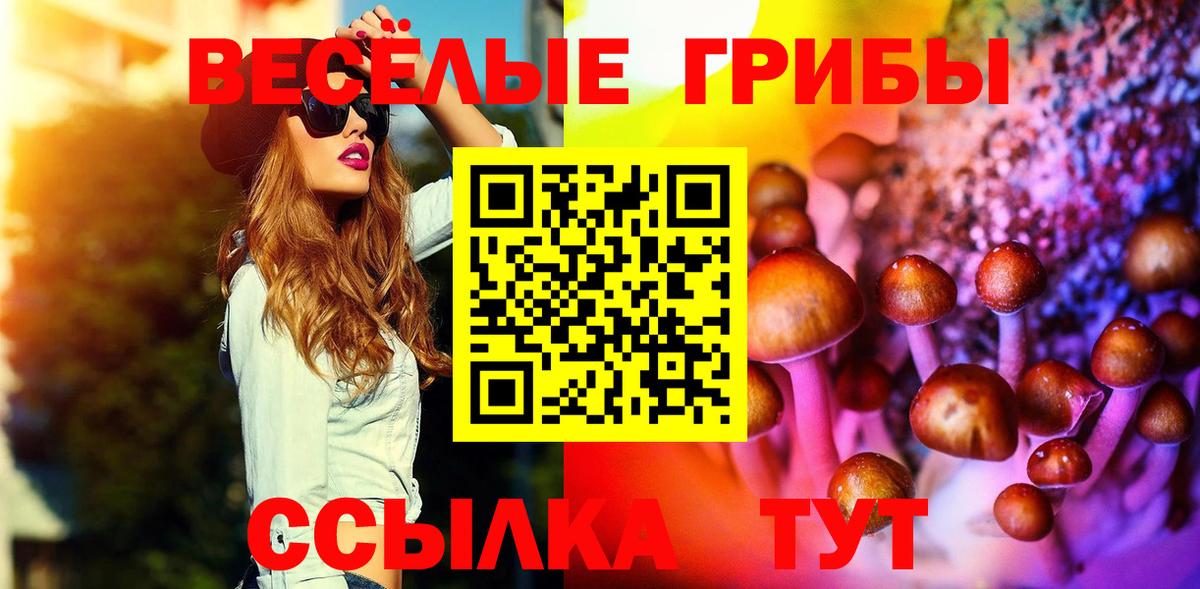 Псилоцибиновые грибы MAGIC MUSHROOMS Мурино