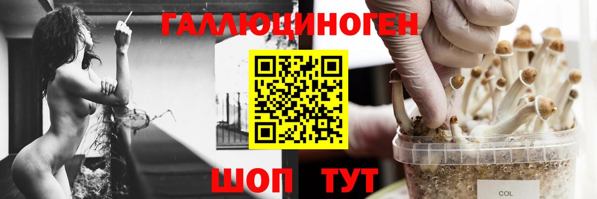 Галлюциногенные грибы прущие грибы  Псилоцибиновые грибы MAGIC MUSHROOMS  Мурино  Вход с VPN 